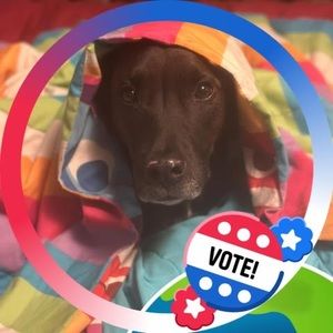 Meet your Posher, Gina